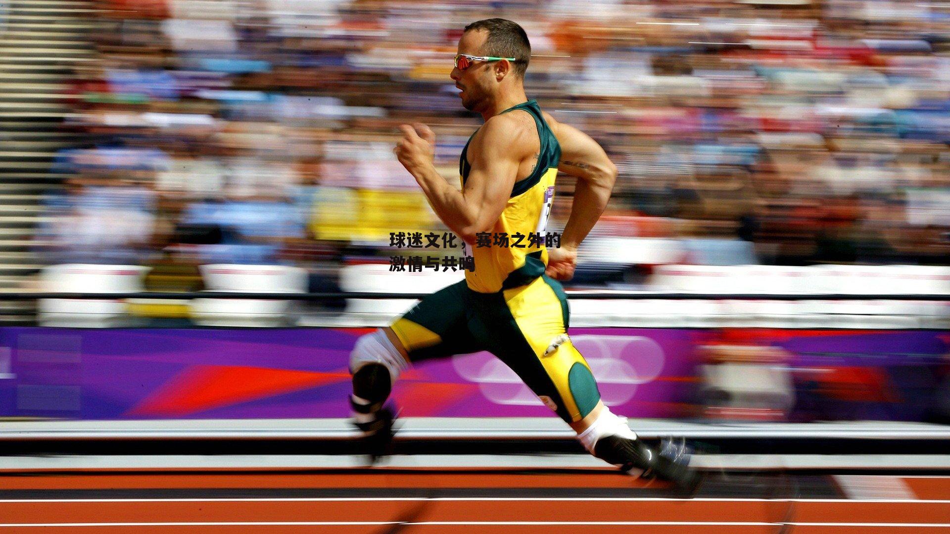 球迷文化,赛场之外的激情与共鸣